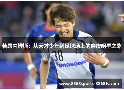 若昂内维斯：从天才少年到足球场上的璀璨明星之路