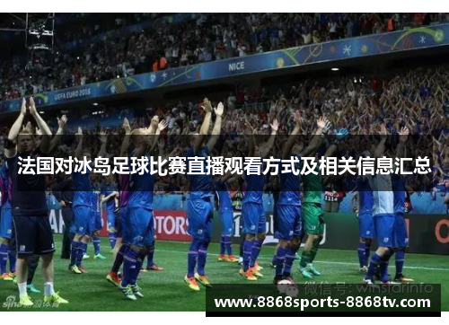 法国对冰岛足球比赛直播观看方式及相关信息汇总